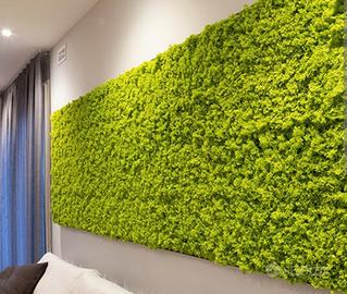 lichene artificiale per interni ed esterni