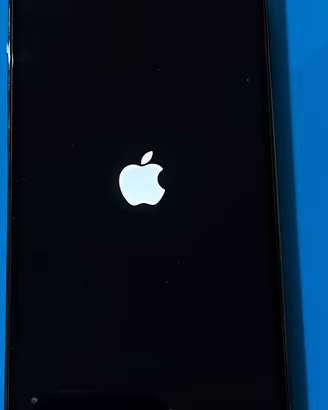 IPHONE 12 PRO MAX 128 GB