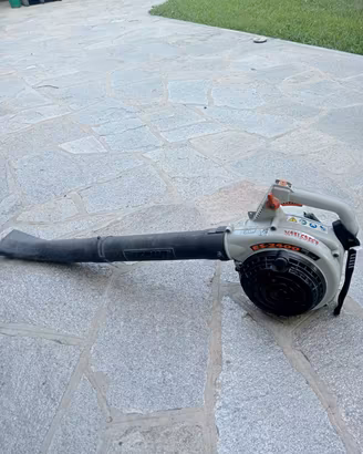soffiatore echo molto potente €110