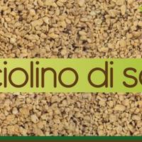 Nocciolino di Sansa Vergine.