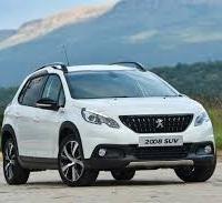 Ricambi Peugeot 2008 disponibili dal 2014 al 2022