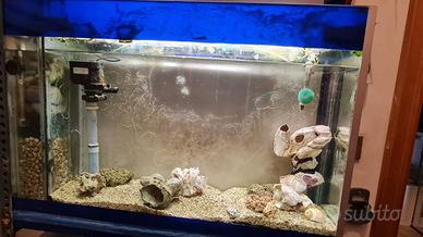 Acquario marino