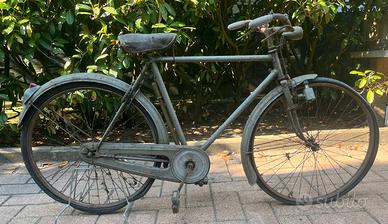 Bici / Bicicletta olmo