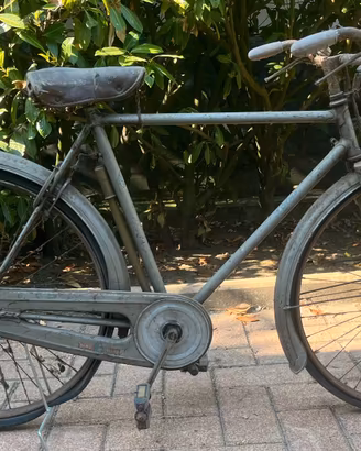 Bici / Bicicletta olmo
