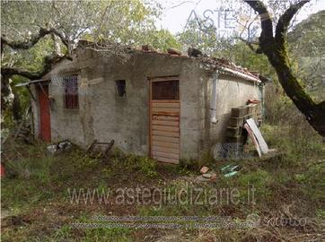 Box/Posto auto Piaggine [A4356564]