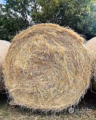 Balloni di Fieno prato naturale