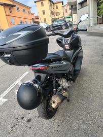 brera  300 