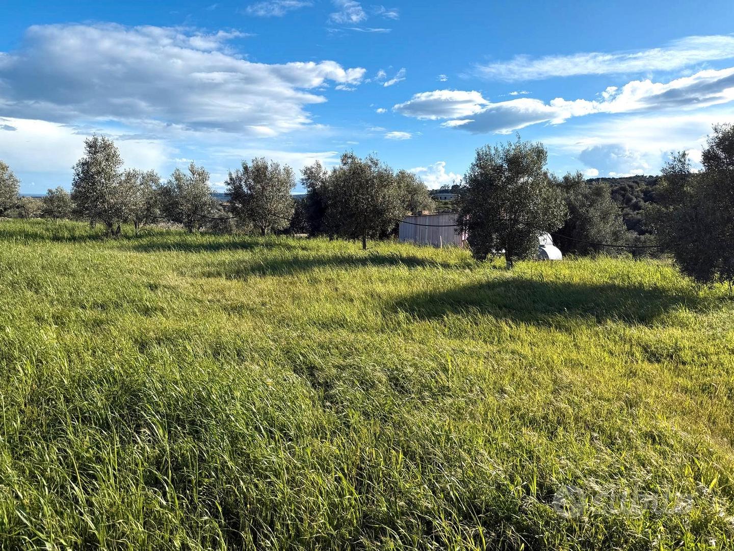 Terreno agricolo con fabbricato rurale - Vista 4