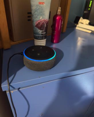 Alexa echo dot