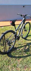 Cannondale Lefty 29