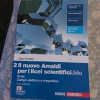 2 il nuovo Amaldi per i licei scientifici.blu