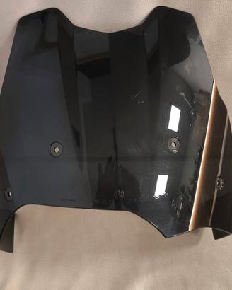 cupolino BMW F800GS