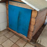casetta in legno per cane
