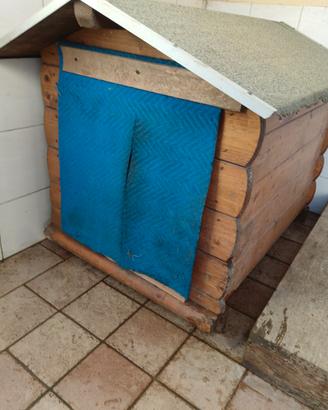 casetta in legno per cane