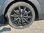 Immagine 8