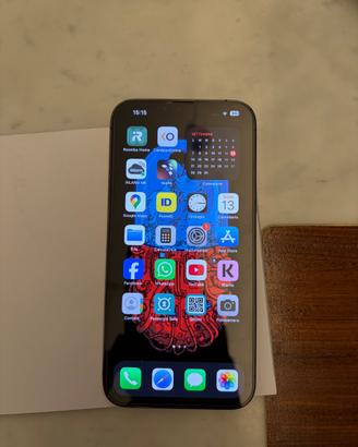 iPhone 13 pro max