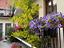 Immagine 28