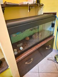 acquario  con luce 120 lt