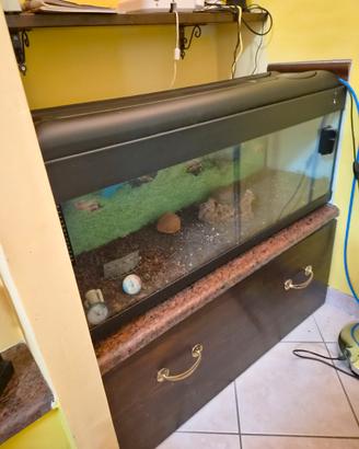 acquario  con luce 120 lt