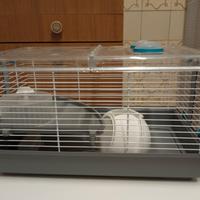 gabbietta per criceti 