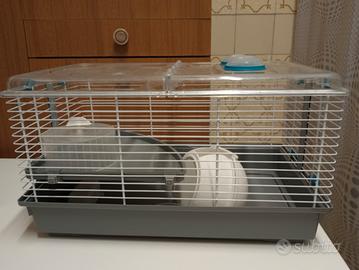 gabbietta per criceti 