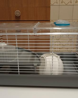 gabbietta per criceti 