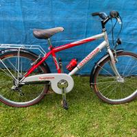Bicicletta per ragazzo