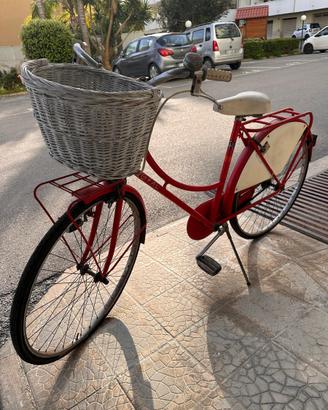 Bicicletta da città vintage