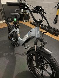 Ebike fat