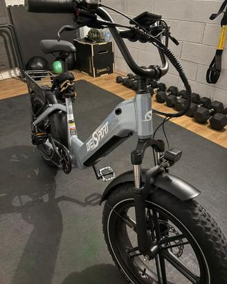 Ebike fat