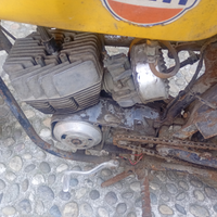Moto da regolarita'