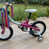 bicicletta bimbo 3-5 anni