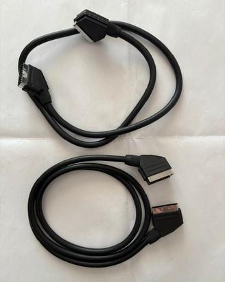 2 prese scart per TV