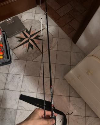 Shimano bassterra spinning