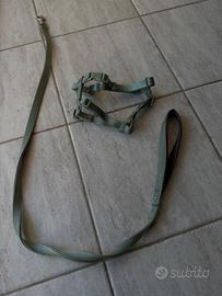 Pettorina h tg. S-M + guinzaglio