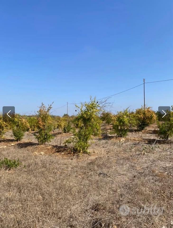 Fondo rustico a Mazara del Vallo - Vista 3