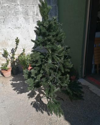 albero di natale 150