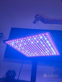 Lampade Grow Light Full Spectrum 