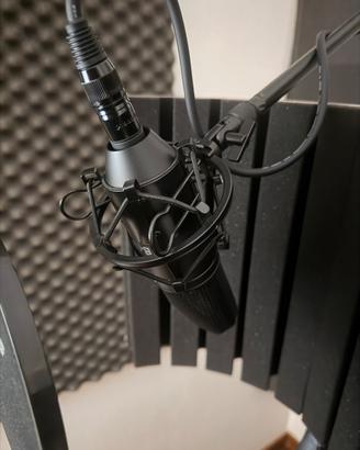 Microfono Behringher B-1