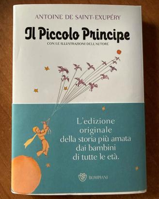 libro il piccolo principe