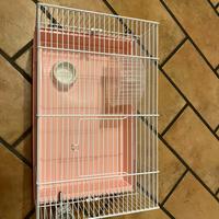 Gabbietta per roditori.