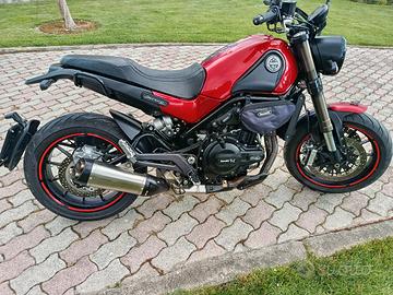 Benelli leoncino 