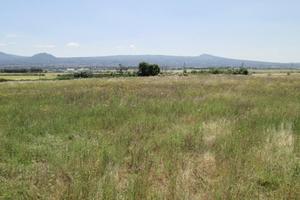 Terreno 11 ettari Strada Castiglione Viterbo