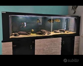 acquario artigianale su misura