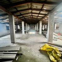 Stalla per allevamento bovini o suini