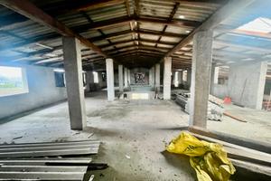 Stalla per allevamento bovini o suini