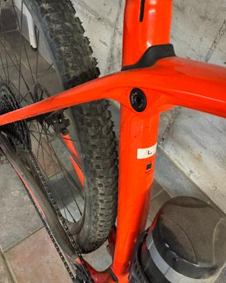 MTB Trek