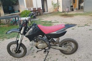 pit bike rfz