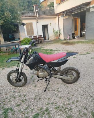 pit bike rfz