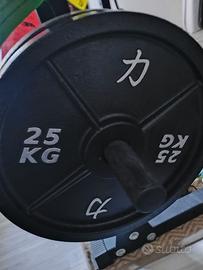 2 dischi cast iron - Strenght Shop Riot